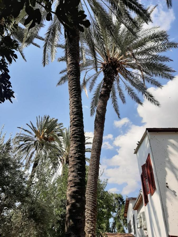 Palm Garden Guest House Nicósia Exterior foto