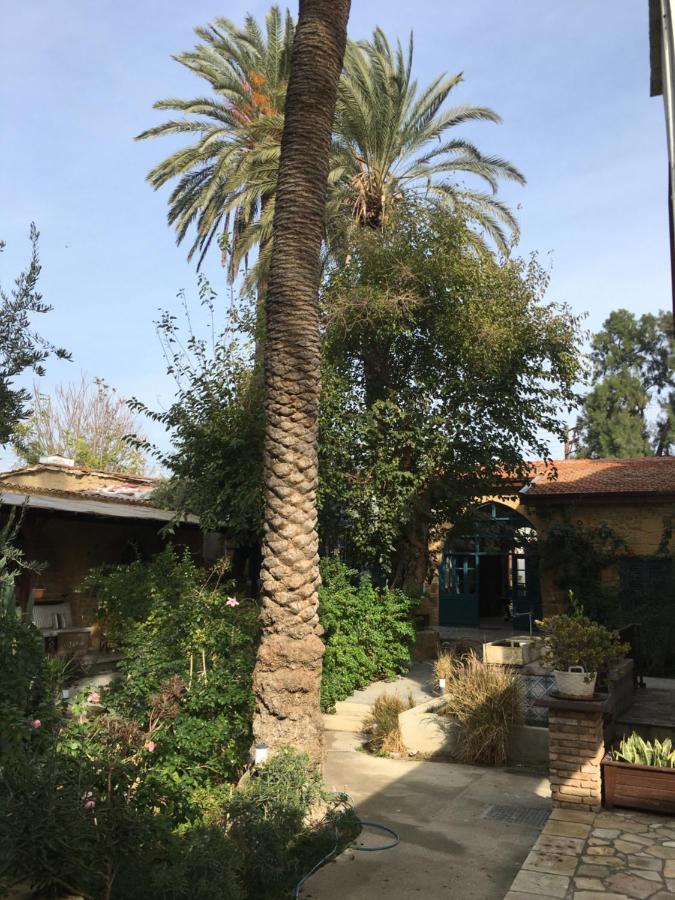 Palm Garden Guest House Nicósia Exterior foto
